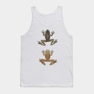 Cuban Tree Frog Vintage Antique Scientific Drawing Tank Top